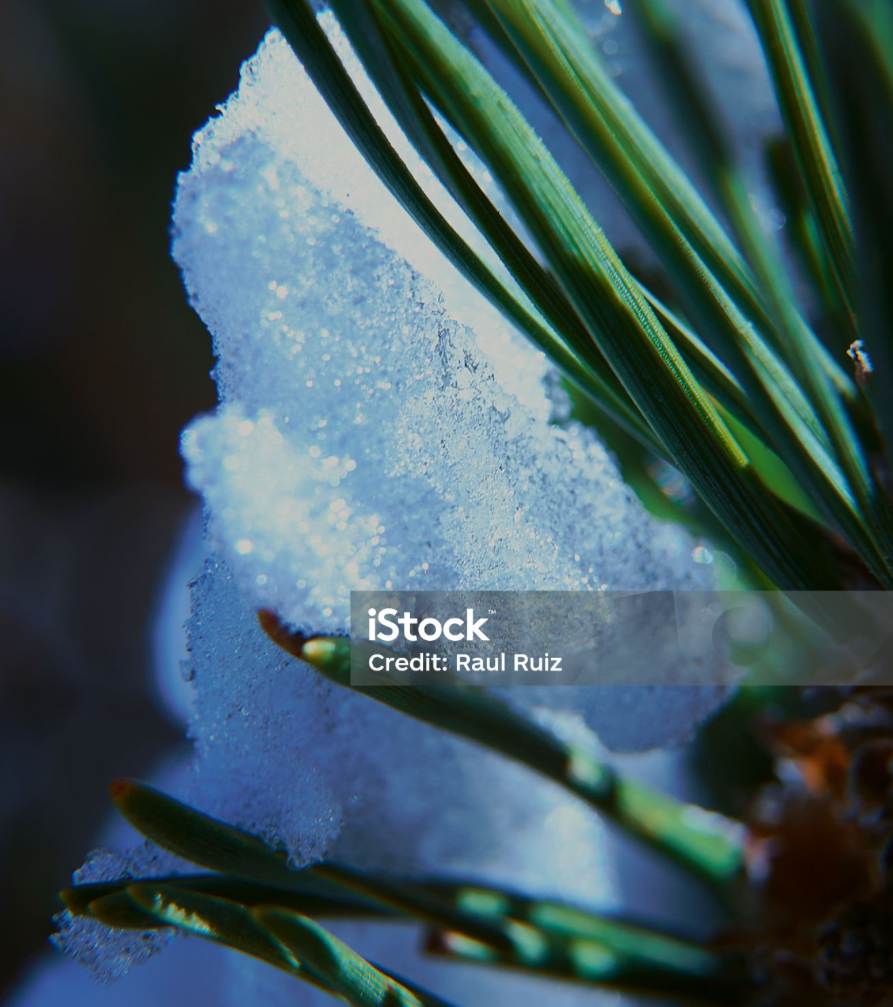 https://www.freeimages.com/