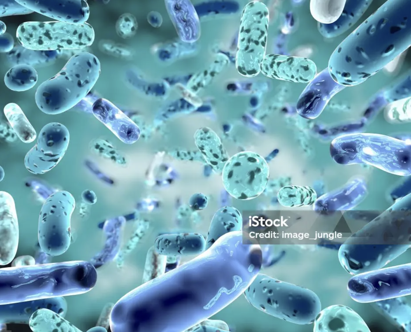 https://www.istockphoto