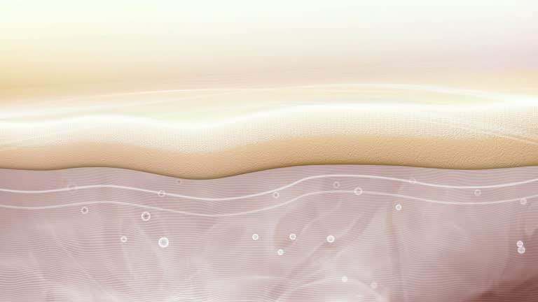 www.istockphoto.com
