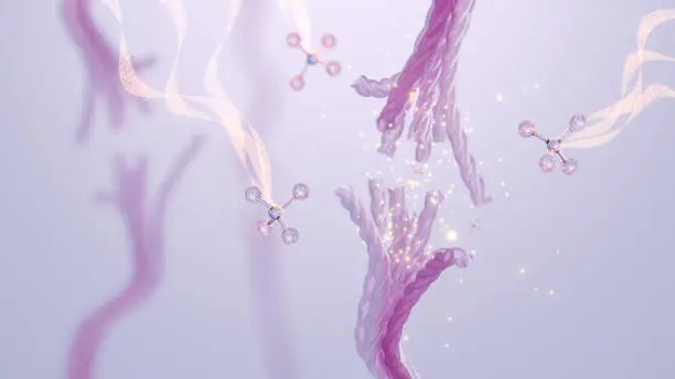 https://www.freeimages.com/search/elastina