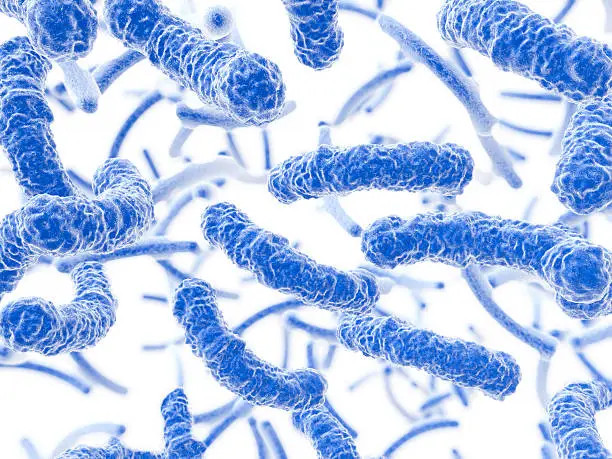 https://www.freeimages.com/search/bacteria-with-a-helicoid-form
