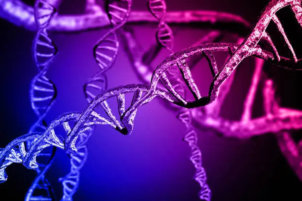 https://www.freeimages.com/search/macromolecules